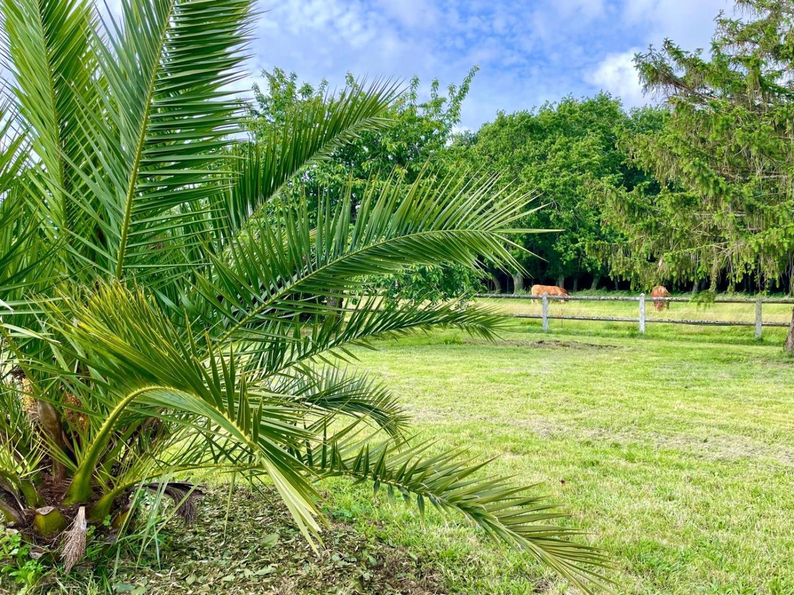 Domaine Du Galon D'Or Βίλα Arvert Εξωτερικό φωτογραφία