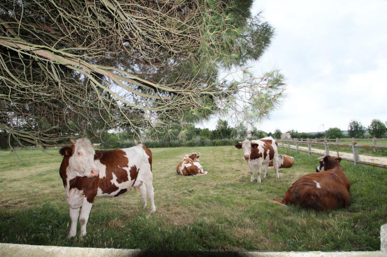 Domaine Du Galon D'Or Βίλα Arvert Εξωτερικό φωτογραφία